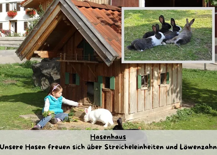 Matthias Herz *