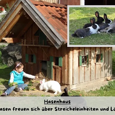 Matthias Herz *